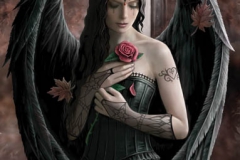 gothic_20100524_1579750114