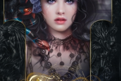 noctura_1_20110618_1608556107