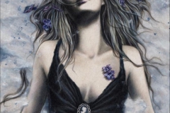 lhiver_est_fini_20110226_1347815825